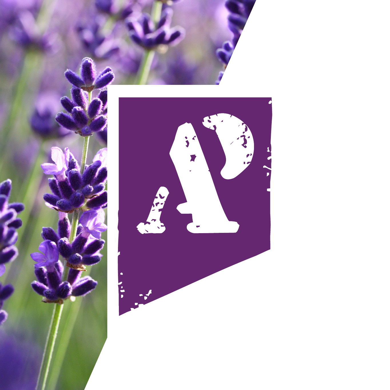 Logo Aroma plantes