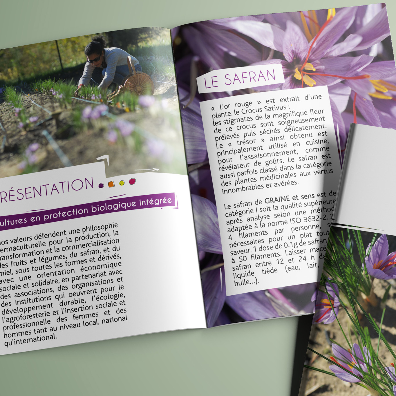 Plaquette Graines et sens